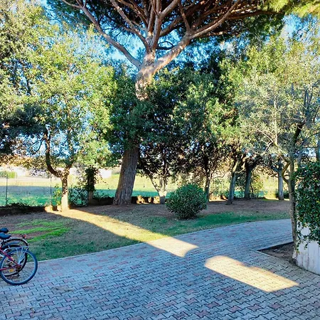 Bilocale San Luigi Vicino 12-69 San Vincenzo